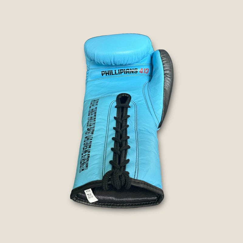 Boxing Gloves