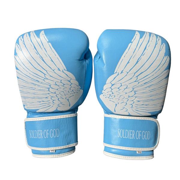 Boxing Gloves Blue / White