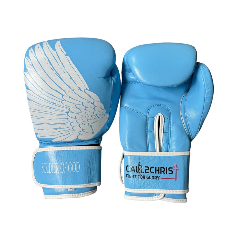 Boxing Gloves Blue / White